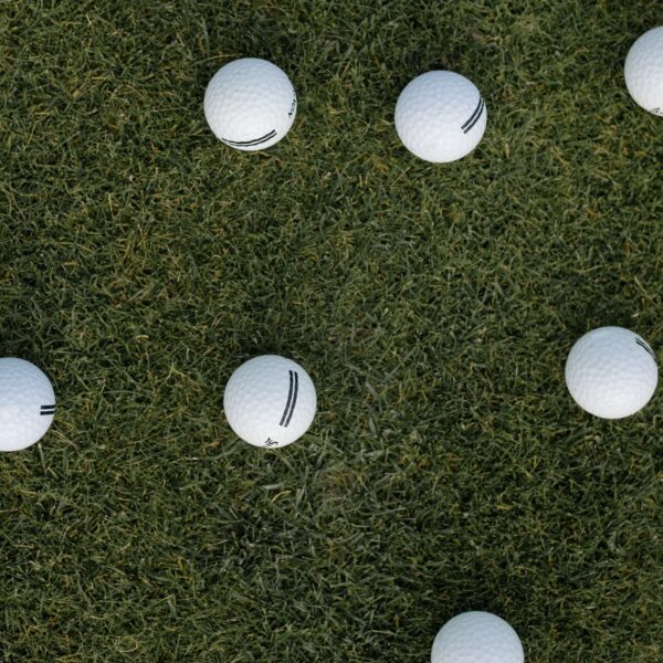 Multi-Purpose Turf - Image 3